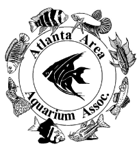 AAAA Logo